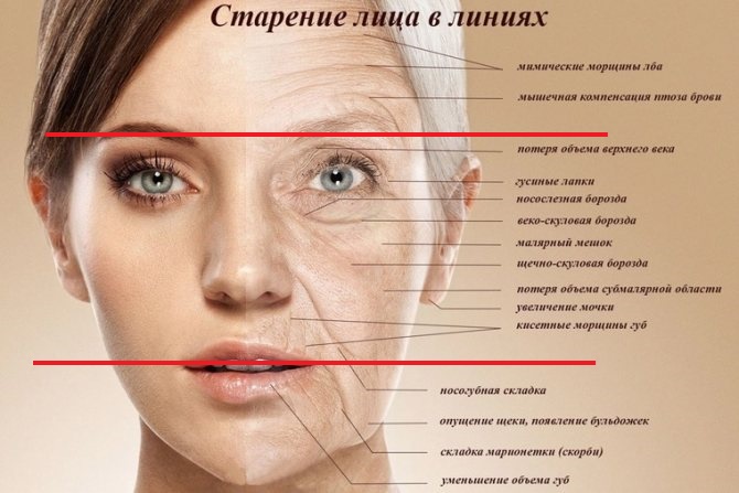Как бороться с преждевременным старением кожи: помощь дерматолога-косметолога